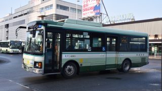 Thumbnail of post image 161