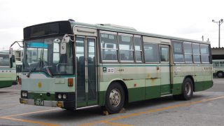 Thumbnail of post image 161