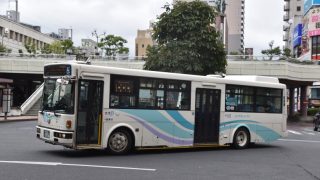 Thumbnail of post image 161