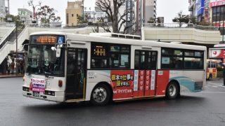 Thumbnail of post image 103