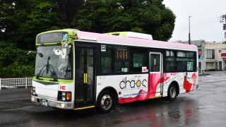 Thumbnail of post image 040