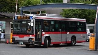 Thumbnail of post image 142