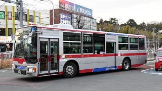 Thumbnail of post image 147