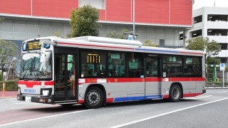 Thumbnail of post image 187