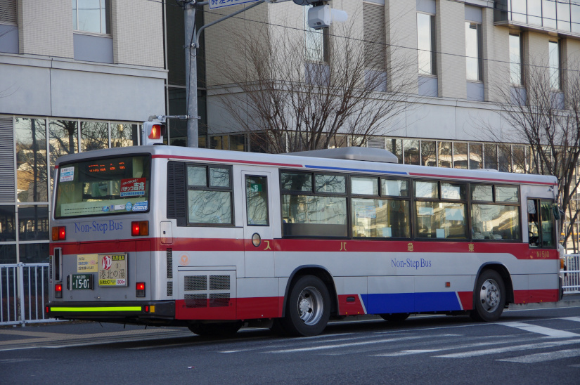ハスの種　1000粒　Azuma ハスの種 1000粒 Azuma ハスの種 1000粒 Azuma ハスの種 1000粒